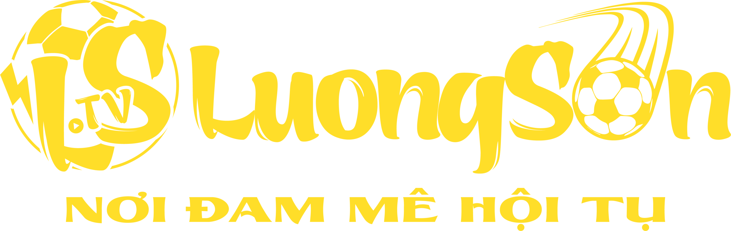 logo luongsontv